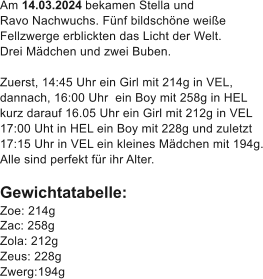 Am 14.03.2024 bekamen Stella und  Ravo Nachwuchs. Fnf bildschne weie  Fellzwerge erblickten das Licht der Welt.  Drei Mdchen und zwei Buben.  Zuerst, 14:45 Uhr ein Girl mit 214g in VEL,  dannach, 16:00 Uhr  ein Boy mit 258g in HEL  kurz darauf 16.05 Uhr ein Girl mit 212g in VEL 17:00 Uht in HEL ein Boy mit 228g und zuletzt 17:15 Uhr in VEL ein kleines Mdchen mit 194g. Alle sind perfekt fr ihr Alter.  Gewichtatabelle: Zoe: 214g  Zac: 258g  Zola: 212g Zeus: 228g  Zwerg:	194g