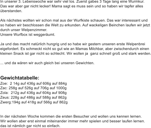 In unserer 3. Lebenswoche war sehr viel los. Zuerst gabes 3 Tage lang eine Wurmkur.  Das war aber gar nicht lecker! Mama sagt es muss sein und so haben wir tapfer alles  berstanden.   Als nchstes wollten wir schon mal aus der Wurfkiste schauen. Das war interessant und  so haben wir beschlossen die Welt zu erkunden. Auf wackeligen Beinchen laufen wir jetzt durch unser Welpenzimmer. Unsere Wurfbox ist weggerumt.  Ja und das macht natrlich hungrig und so habe wir gestern unseren erste Welpenbrei  eigefordert. Es schmeckt nicht so gut wie an Mamas Milchbar, aber zwischendurch einen  kleinen Snack ist gar nicht so schlecht. Wir wollen ja  ganz schnell gro und stark werden.  ... und da wren wir auch gleich bei unseren Gewichten.   Gewichtatabelle: Zoe:  2 14g auf 436g auf 606g auf 884g  Zac: 258g auf 526g auf 706g auf 1000g  Zola:  212g auf 436g auf 604g auf 908g Zeus: 228g auf 486g auf 588g auf 862g  Zwerg:	194g auf 418g auf 566g auf 862g   In der nchsten Woche kommen die ersten Besucher und wollen uns kennen lernen. Wir wollen aber erst einmal miteinander immer mehr spielen und besser laufen lernen.  das ist nmlich gar nicht so einfach.